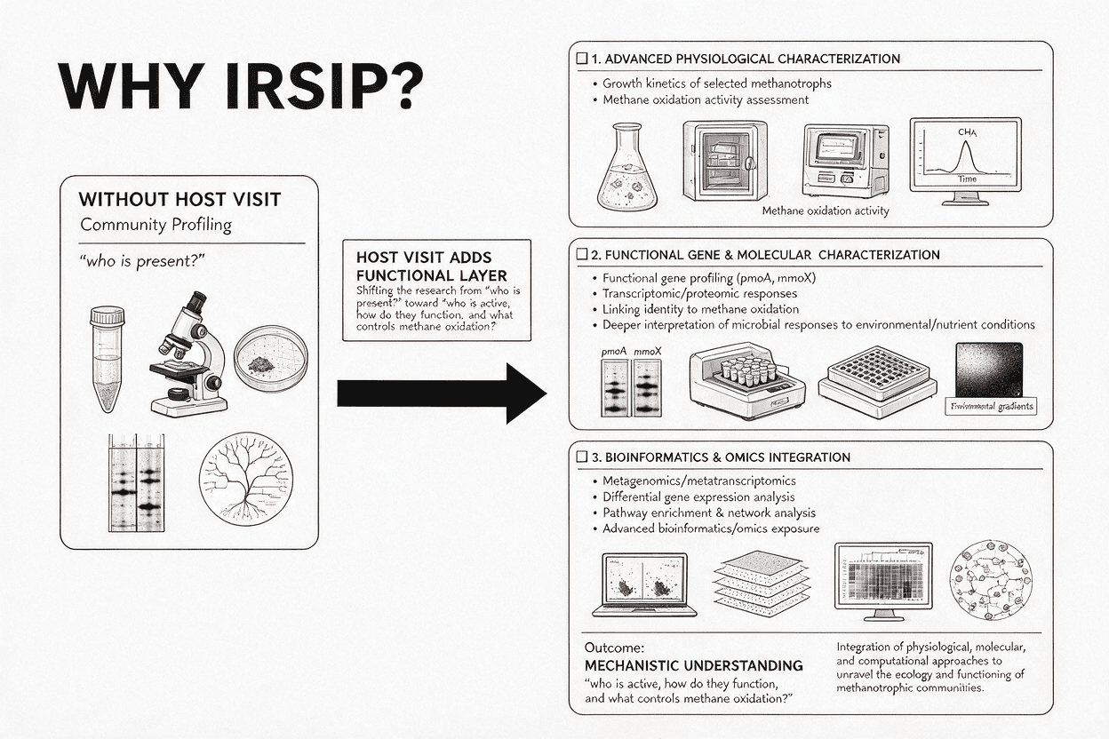 Research workflow comparing community profiling with physiological, molecular, and bioinformatics characterization