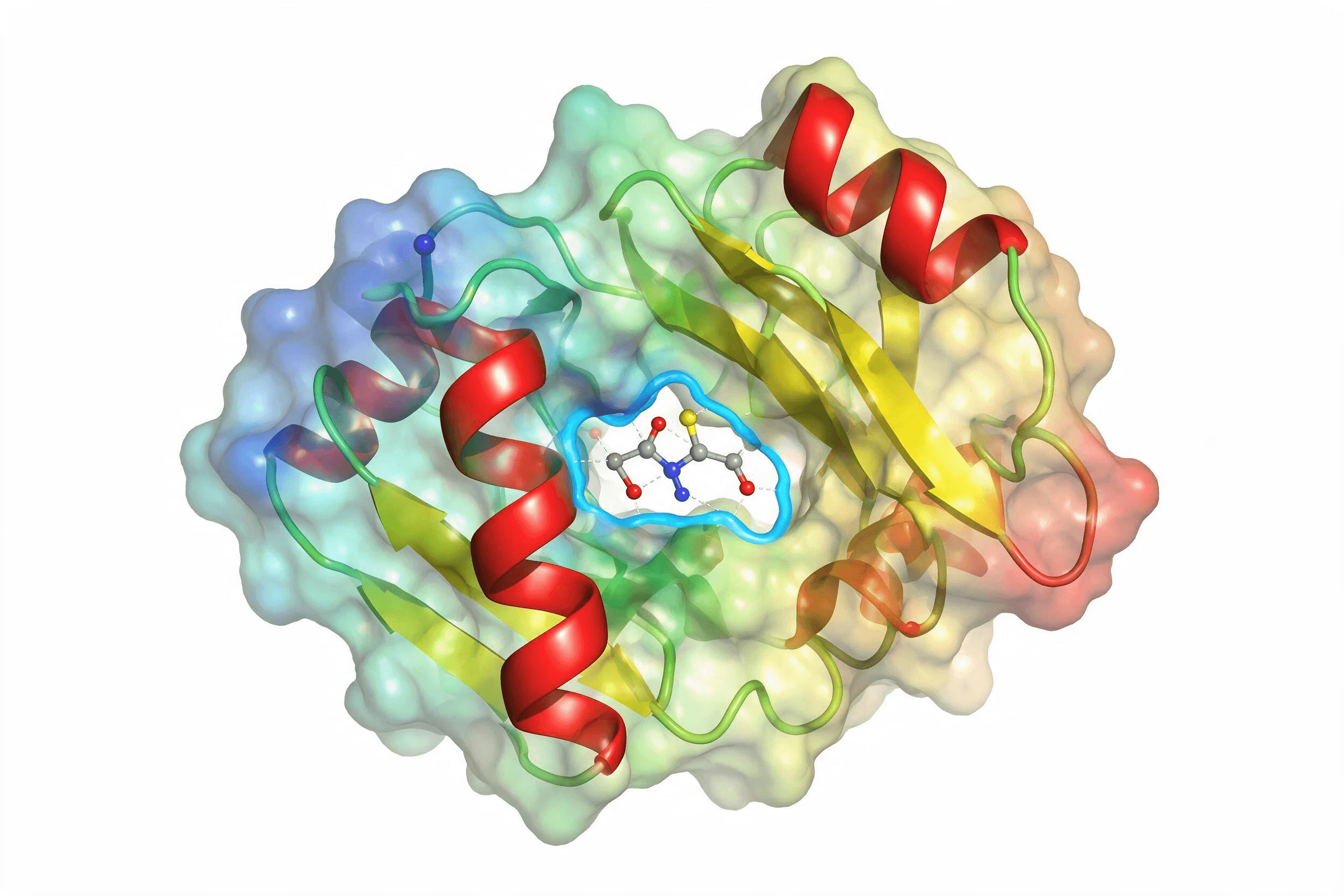 Protein structure 3D preview