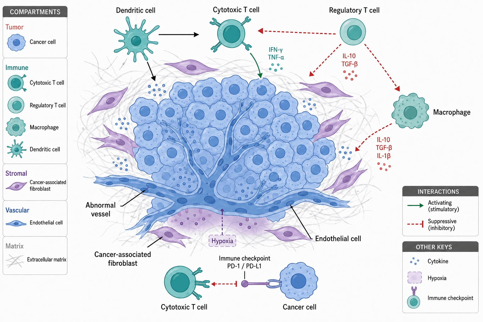 Option 1: Blue tumor cells. Flat tumor microenvironment illustration.
