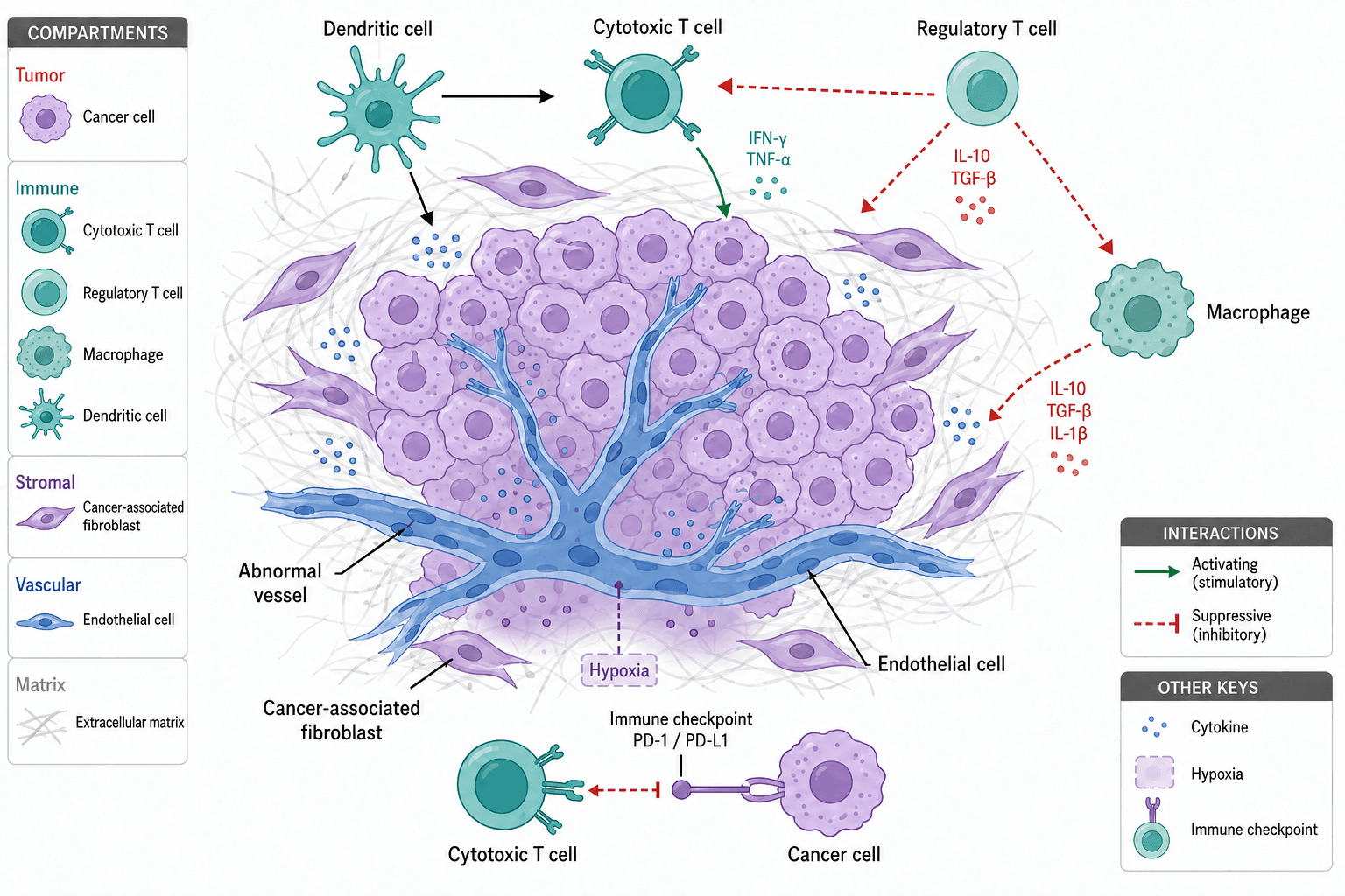 Option 2: Purple tumor cells. Flat tumor microenvironment illustration.