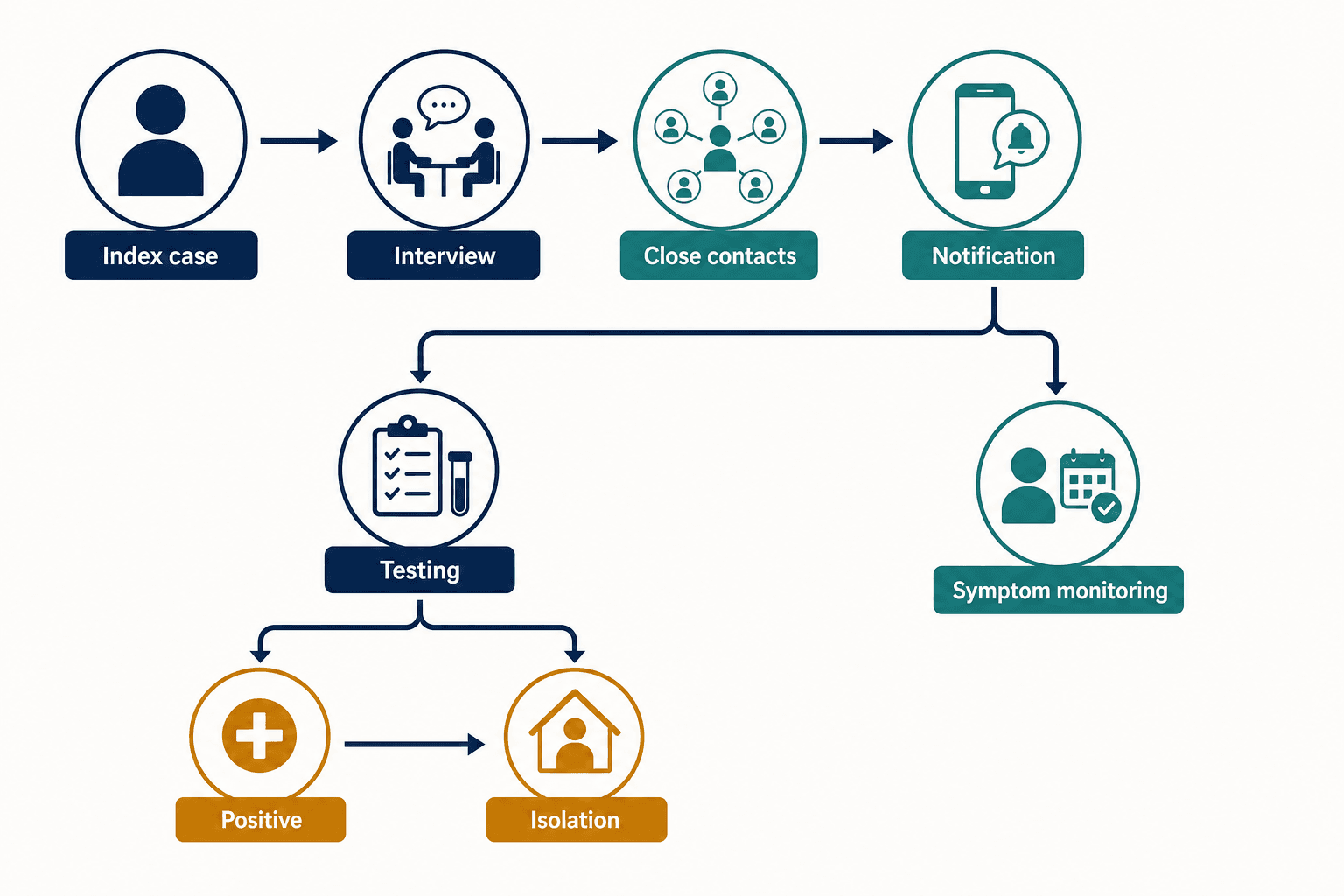 Public-health contact-tracing workflow with index case, interview, exposure windows, testing, and follow-up
