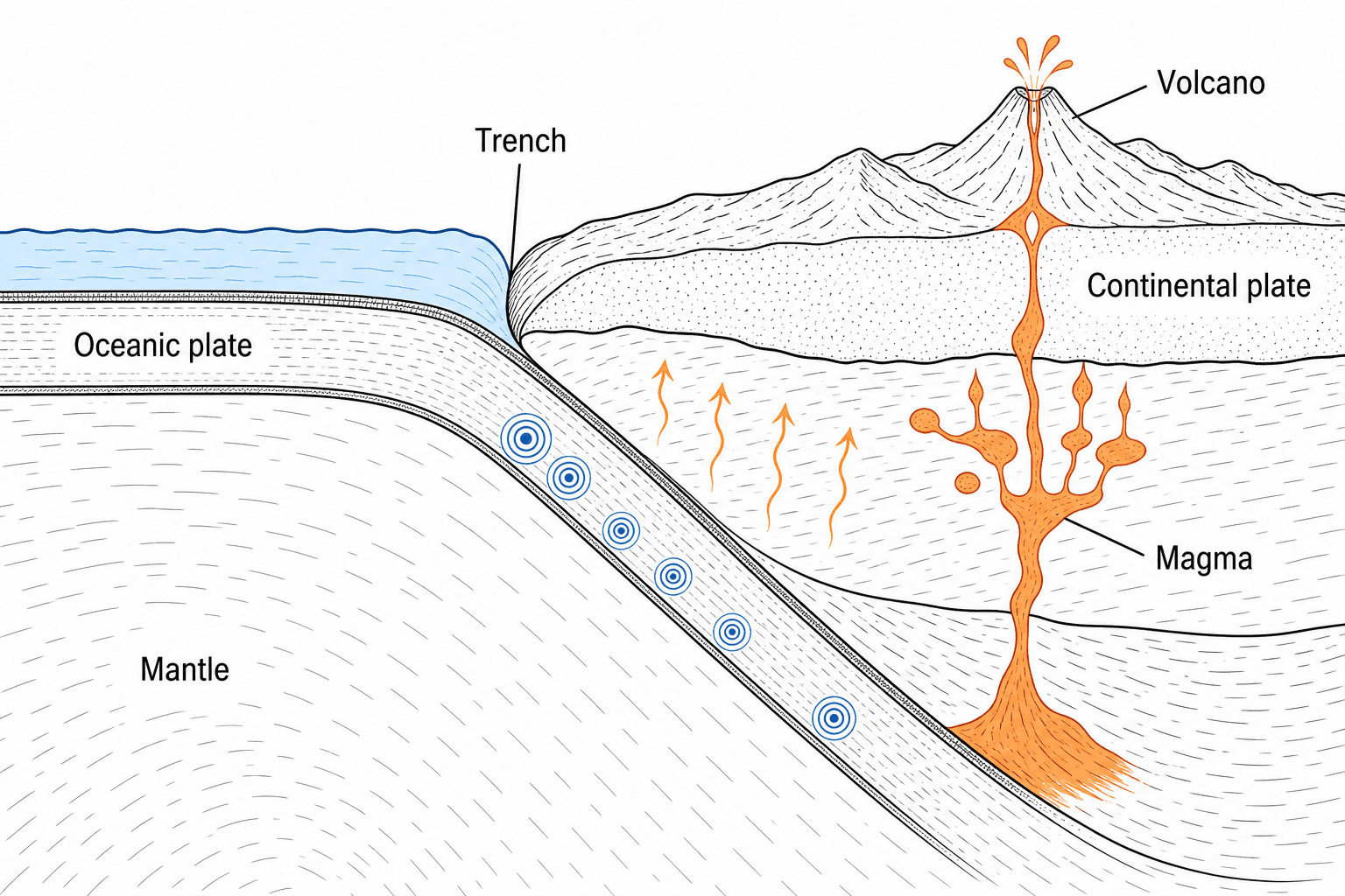 Oceanic-continental subduction cross-section with trench, volcanic arc, mantle wedge, and earthquake zone