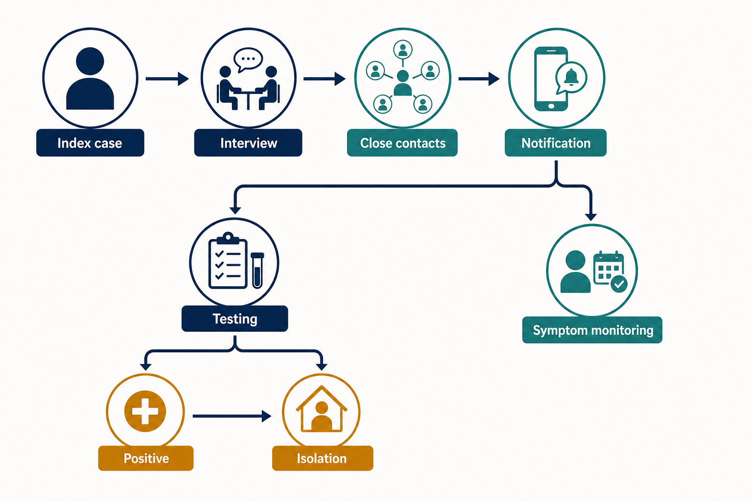 Public-health contact-tracing workflow with index case, interview, exposure windows, testing, and follow-up