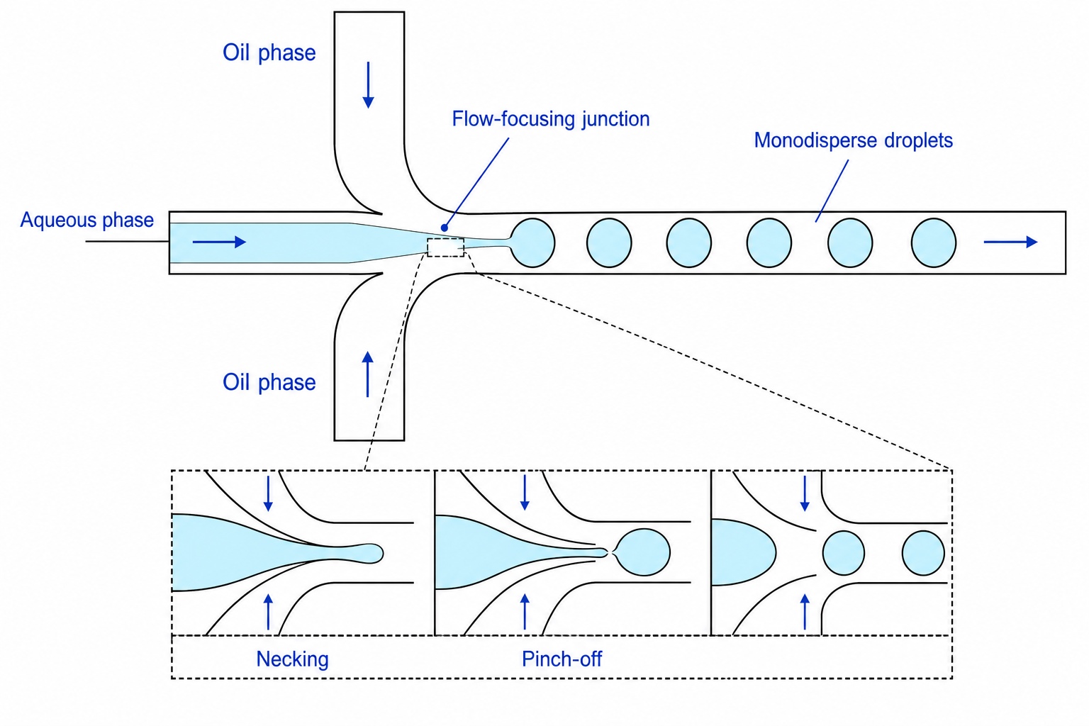 Line art scientific figure: Droplet flow focusing