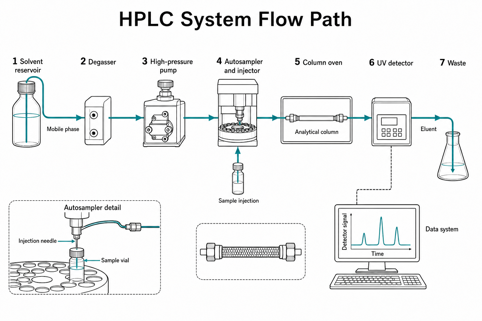 Publication-style line-art schematic of an HPLC flow path from solvent reservoir to detector and waste