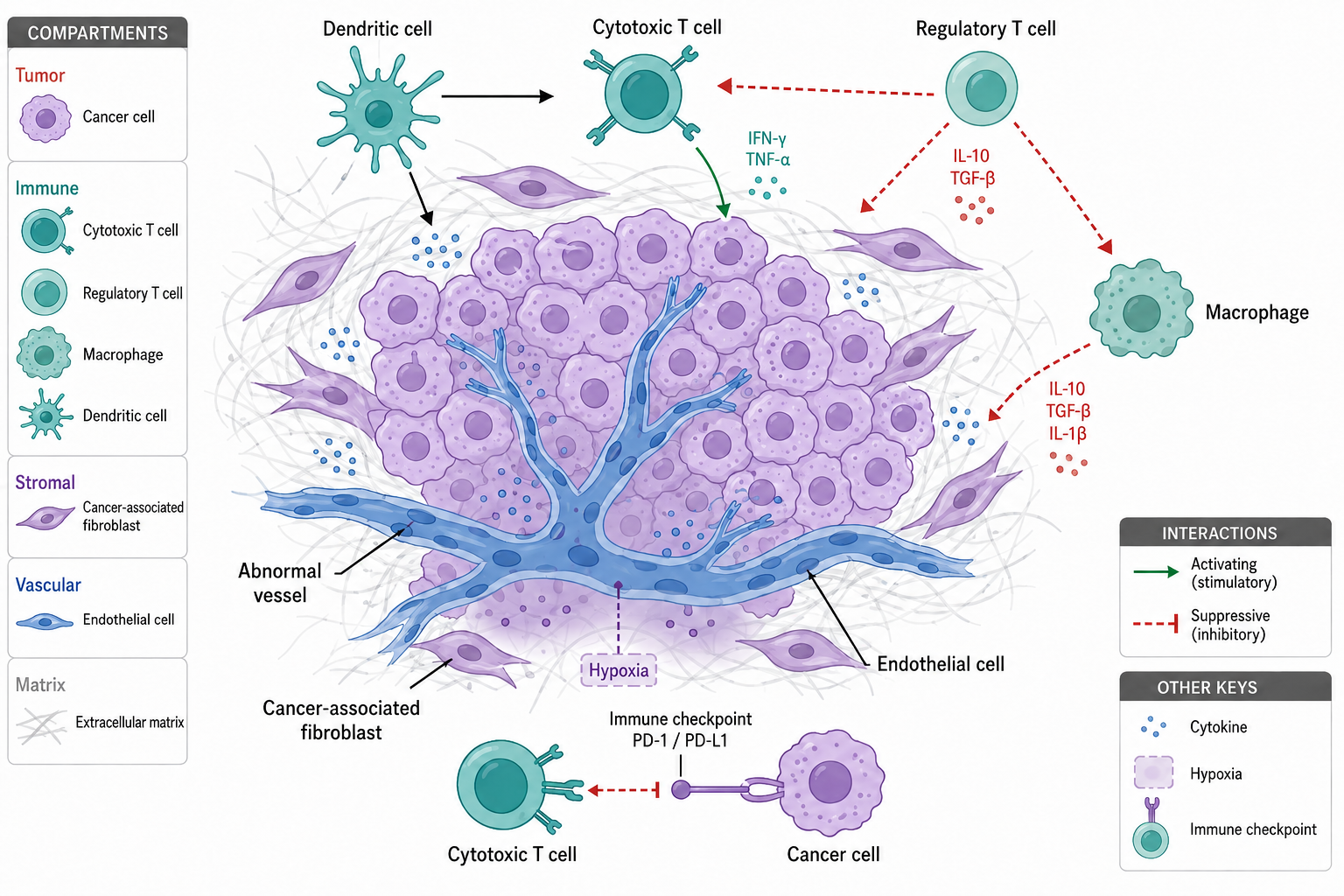 Option 2: Purple tumor cells. Flat tumor microenvironment illustration.