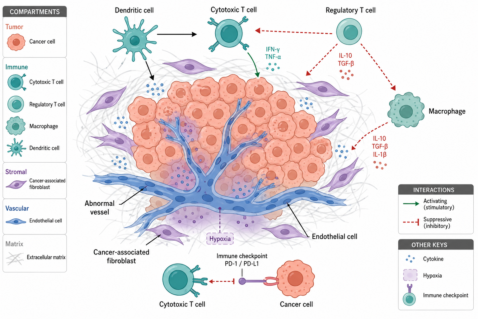 Original: Always kept. Flat tumor microenvironment illustration.